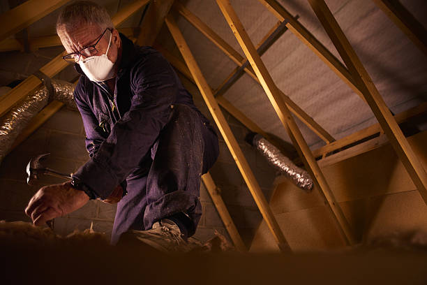 Best Types of Insulation in Boca Raton, FL